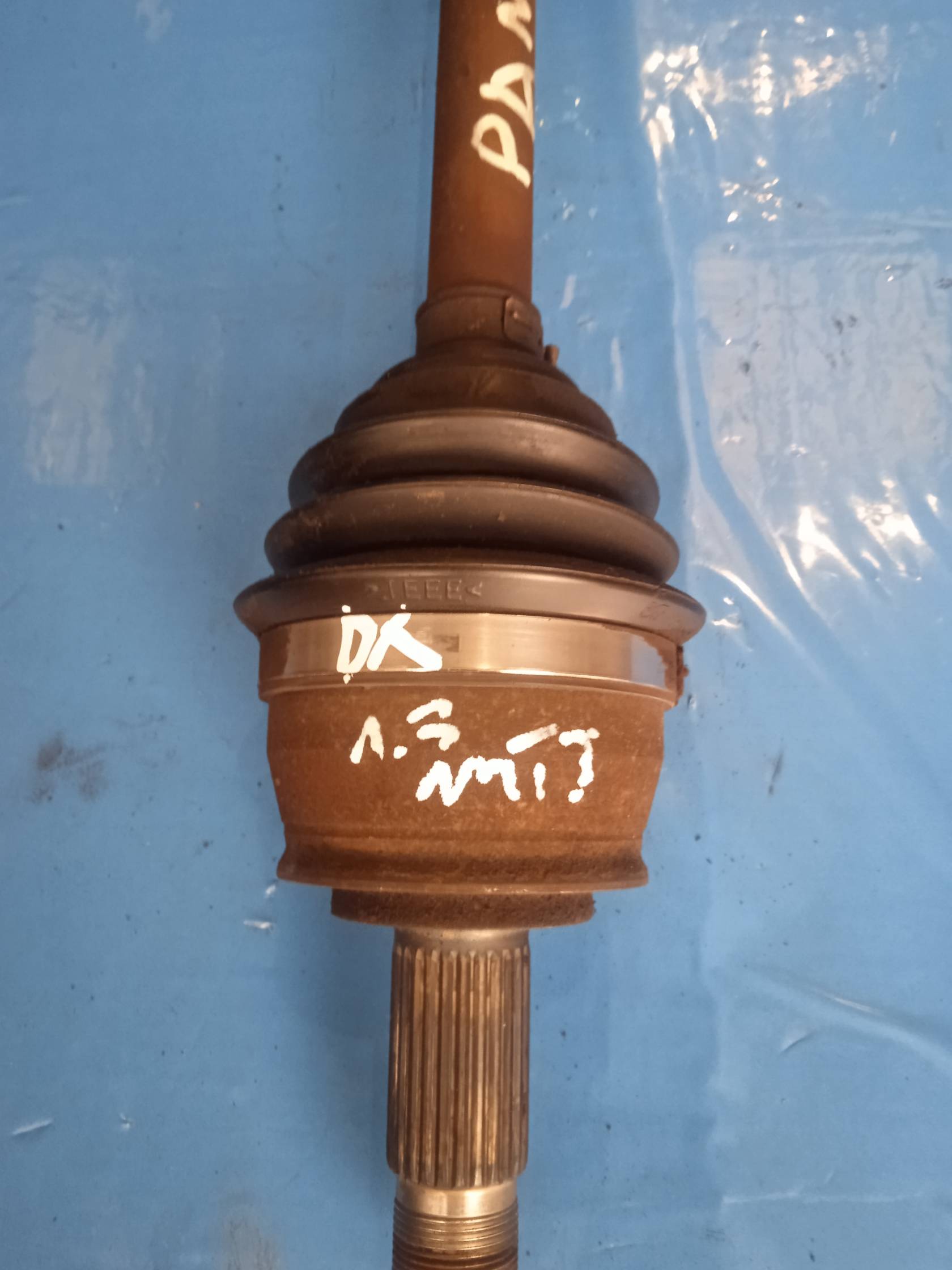 Semialbero ant. compl. dx.